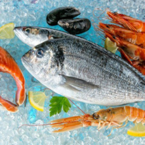 Sashimi 