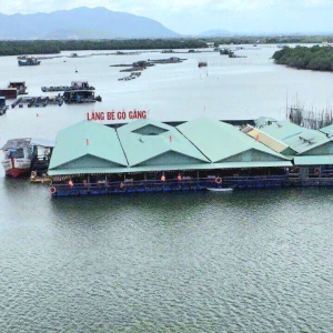 Dịch vụ Check-in &amp; Di chuyển bằng Cầu Phao