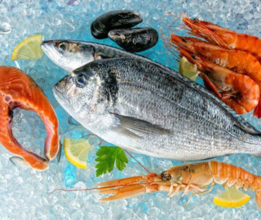 Sashimi 